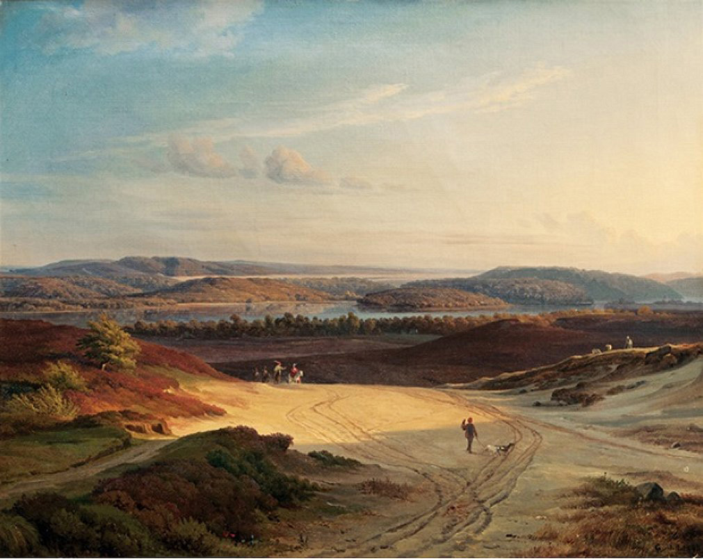 panoramic view of silkeborg langso